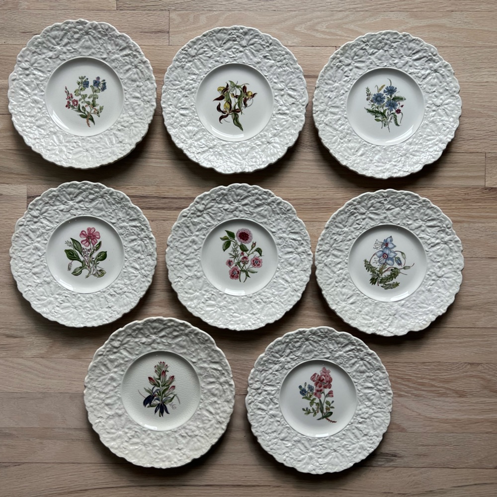 Royal Cauldron Bristol Ironstone “Cardinal Flower” Tiffany Plates